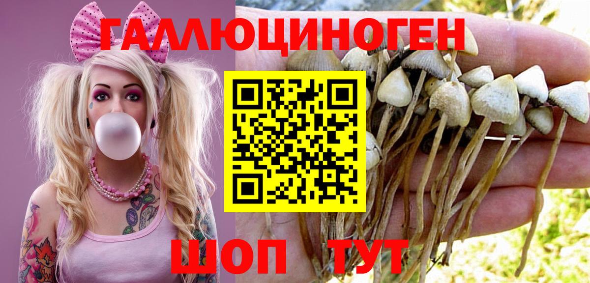 Топки  Псилоцибиновые грибы прущие грибы  Вход с VPN 